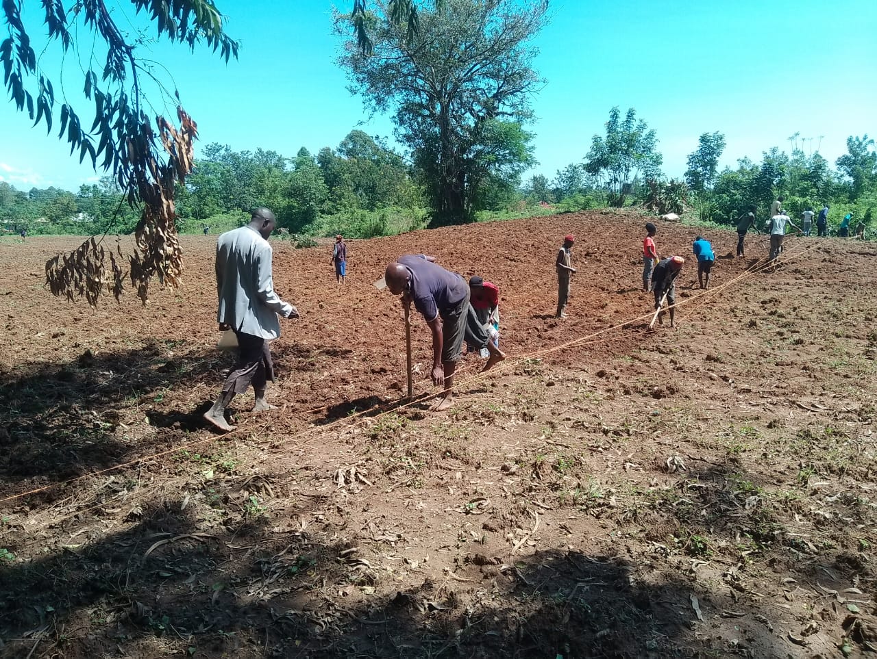 Economic Uplift Program